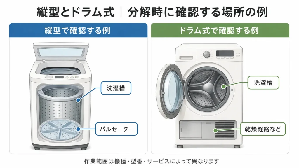 縦型とドラム式洗濯機で分解クリーニング時に確認する場所の違い